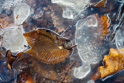 Температура упадёт до нуля в Тульской области 21 апреля