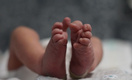 Качество ЭКО надо оценивать по новорожденным. Как развиваются вспомогательные репродуктивные технологии в Петербурге