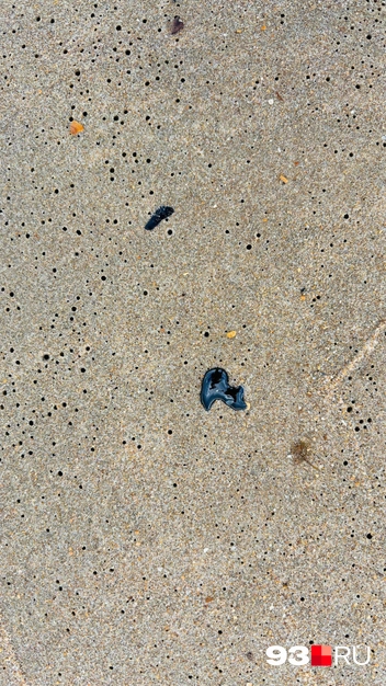 Мазут еще не успел остыть, но что его разогрело? | Источник: Никита Зырянов / 93.RU