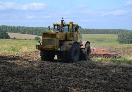 К севу озимых приступили 17 районов Рязанской области | ya62.ru