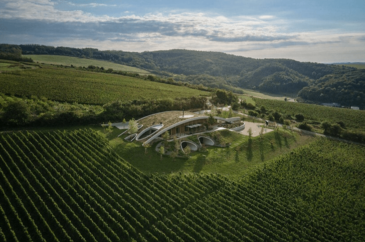 Винодельня Gurdau с зеленой крышей