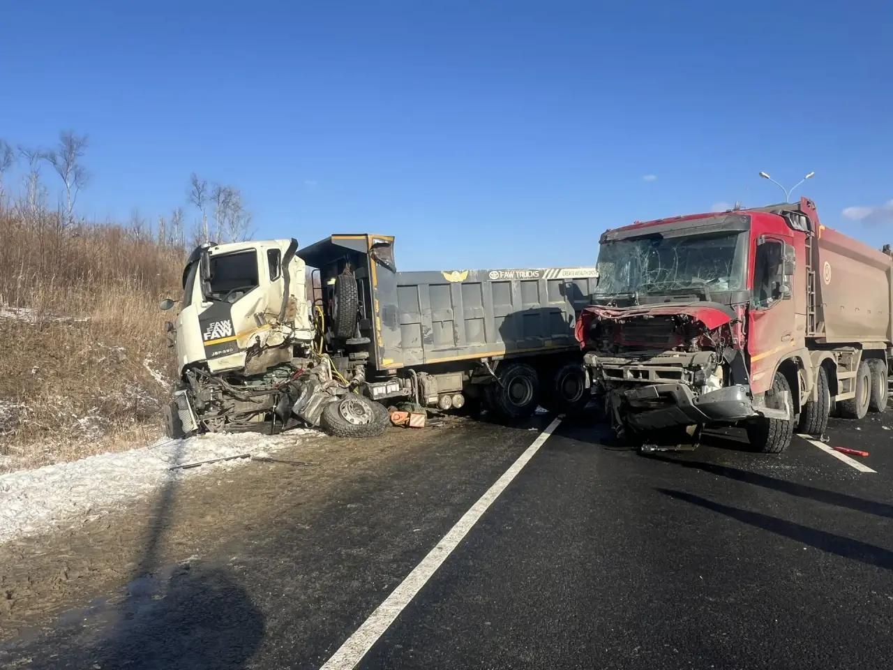 В Приморье водитель выпал из кабины и погиб под грузовиком