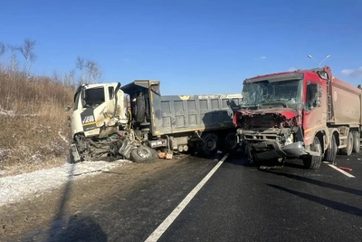В Приморье водитель выпал из грузовика и погиб под колёсами