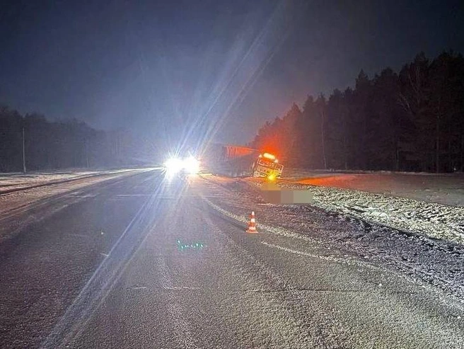 Мужчина переходил дорогу в неположенном месте | Источник: Госавтоинспекция Новосибирской области / Телеграм