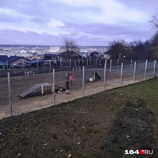 Источник: Сергей Гендин / 164.RU