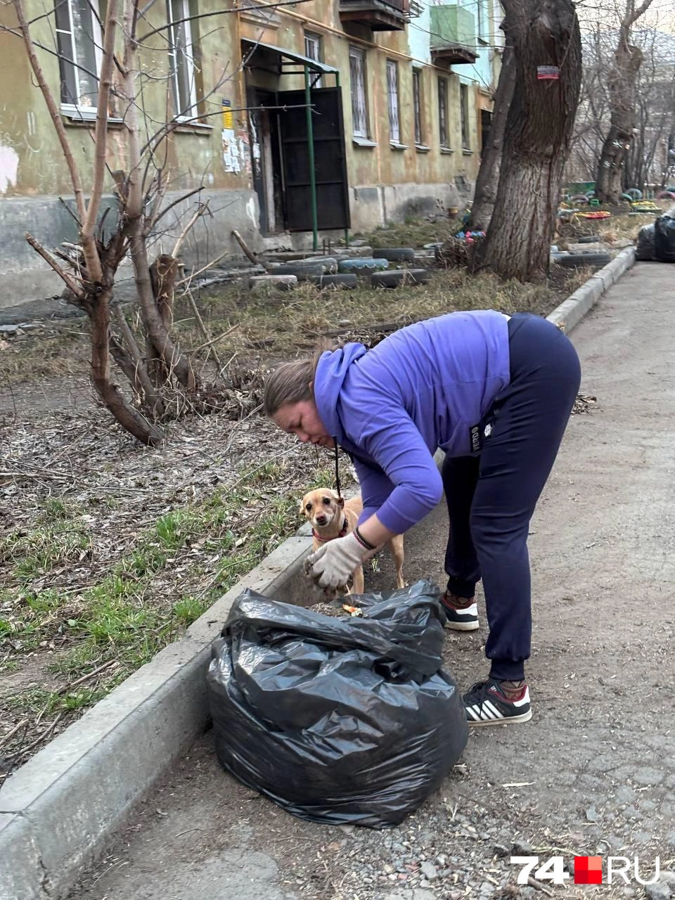 Люди надеются найти контакт с властями для субботника в следующем году | Источник: читатель 74.RU