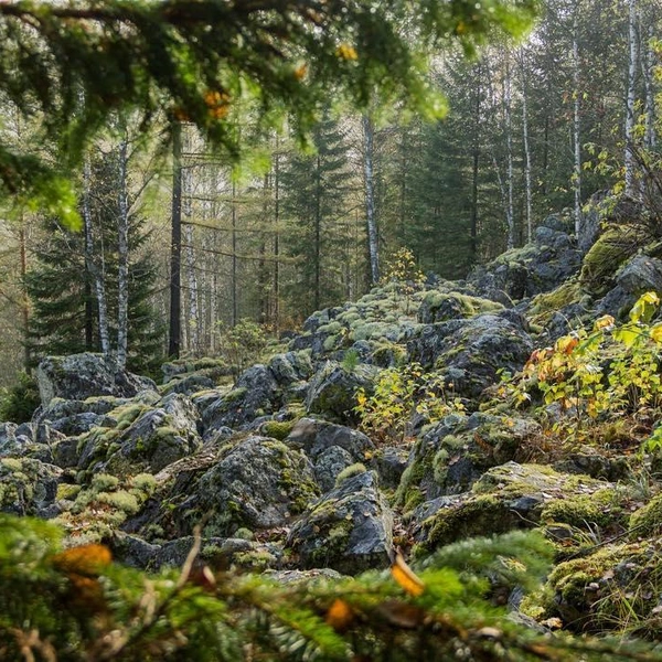 Будто кадр из «Новолуния» | Источник: nymph542.Елена Перминова / Instagram (экстремистская организация, деятельность запрещена в РФ)