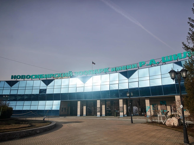 Павильон доступен для посещения до 19:00. | nsk54.online