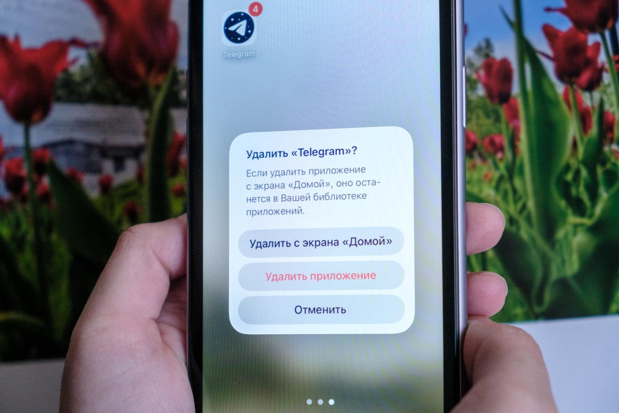 Telegram ����� �������� �������������� ������������ &mdash; ����� �� ��������� �� ������� �������� Premium