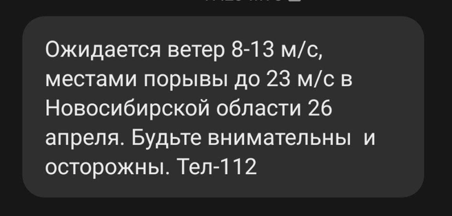 Возможны кратковременные дожди и грозы. | Источник: НГС
