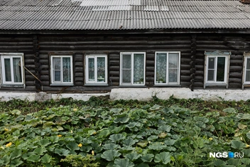 Его жители даже умудряются огородничать у дороги, по которой громыхают грузовые автомобили | Источник: Александр Ощепков / NGS.RU