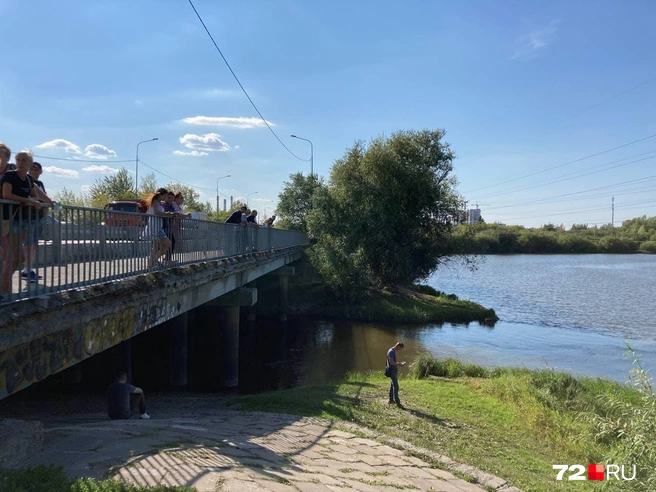 Видео про подвезли и трахнули в лесу