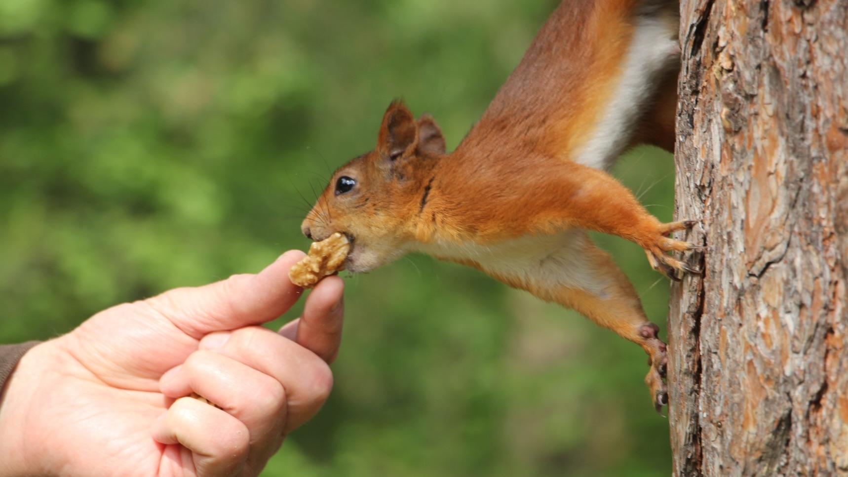 Пора восстановиться на свежем воздухе: где можно отдохнуть недалеко от Архангельска