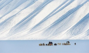 Арктика в моде: спрос на северные туры вырос на 30% и превращает Заполярье в новое туристическое направление