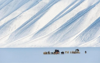 Арктика в моде: спрос на северные туры вырос на 30% и превращает Заполярье в новое туристическое направление