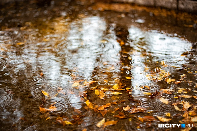 Вторник для кубанцев начался с дождливой погоды | Источник: Ксения Филимонова / IRCITY.RU