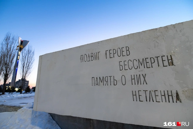 Источник: Евгений Вдовин / 161.RU