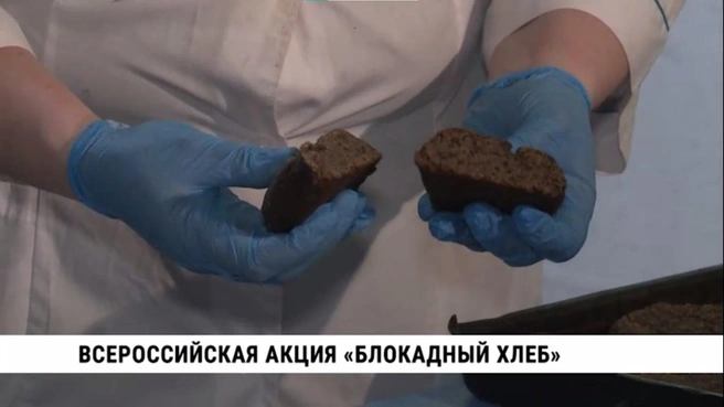 Источник: Мэрия Хабаровска