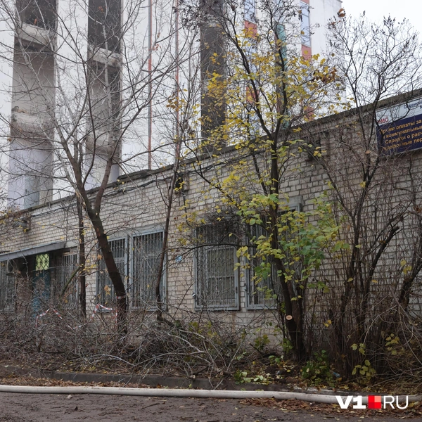 Источник: Алексей Волхонский / V1.RU