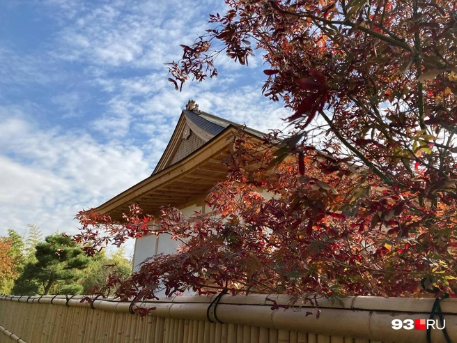 Осенью в парке очень красиво | Источник: Виктор Дереза / 93.RU