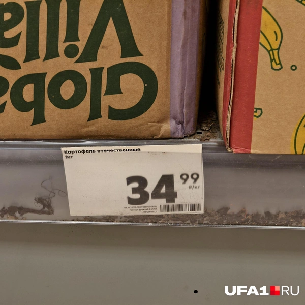 Источник: Булат Салихов / UFA1.RU