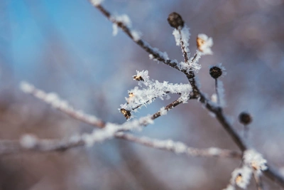 Ярославцам обещают похолодание и температурные качели