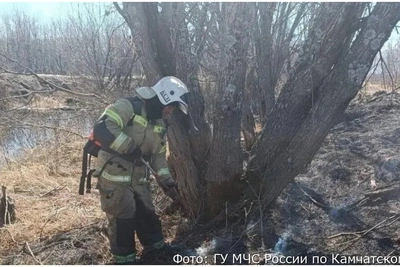 На Камчатке выгорело 267 тыс. кв. м травы
