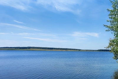 В Шершневское водохранилище выпустили более 11,5 тысяч мальков сазана