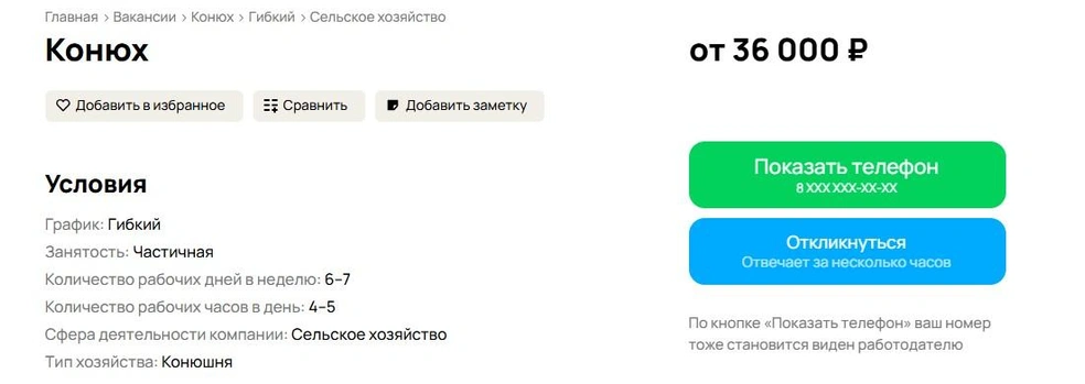 Источник: Avito.ru