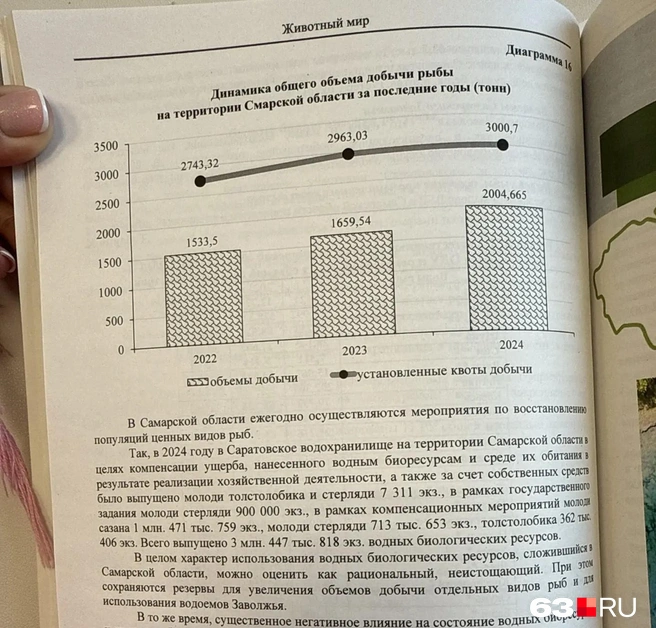 Объёмы добычи растут, но всё равно не дотягивают до установленных квот | Источник: Министерство природных ресурсов и экологии Самарской области