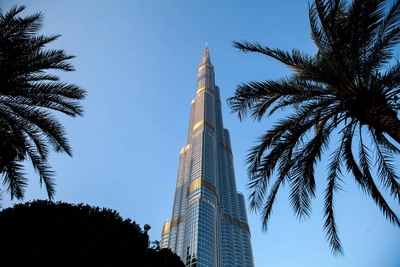 Рейсы из Тюмени в Дубай отменены из-за закрытого неба