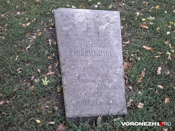 Источник: Алёна Воропаева / Voronezh1.ru