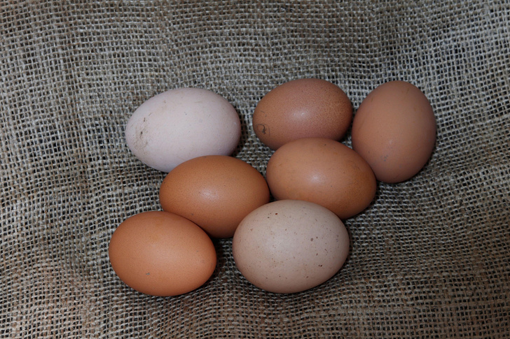 Роковые яйца: в городской сельхозпродукции зашкаливает содержание свинца