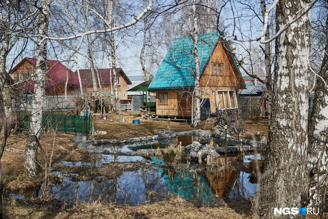 Хозяин этого участка специально потратил кучу денег на декоративный водоем, который и радовал бы глаз, и служил естественным водосбором. Как выяснилось прошлым летом, водоем всю воду не вместил | Источник: Александр Ощепков / NGS.ru