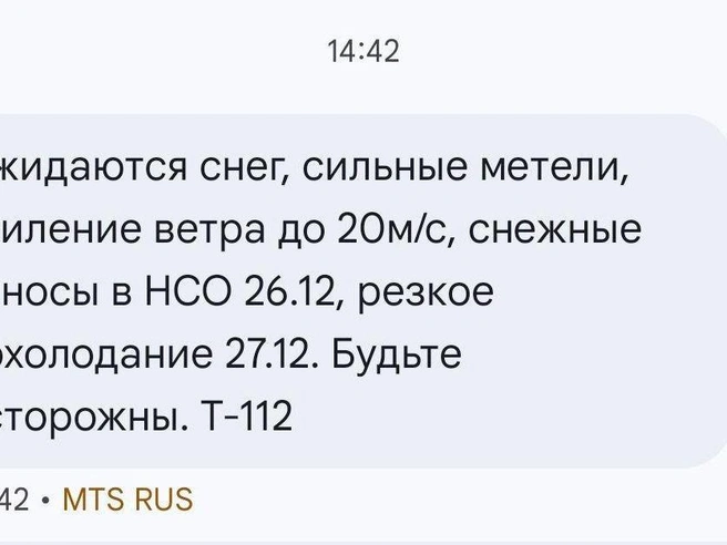 Предупреждения рассылаются через СМС-сообщения. | Источник: читатель НГС