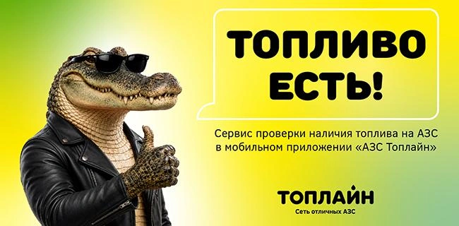 Источник: АЗС «Топлайн»