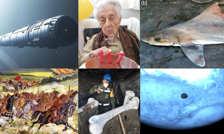 Батяня гуннов и еще 9 крутых новостей науки, которые сделали нашу жизнь интереснее | Источник: коллаж Vokrugsveta.ru