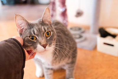 Красноярский психотерапевт рассказала о борьбе со стрессом