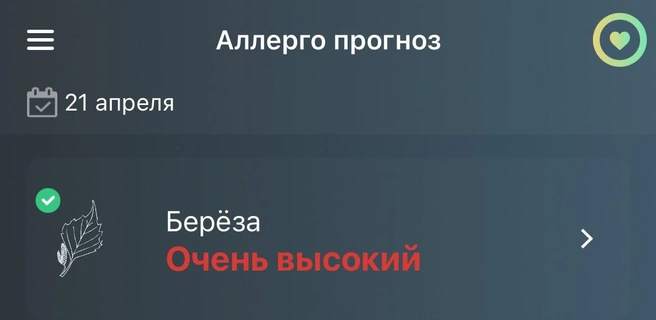 В столице фиксируется повышенное содержание пыльцы в воздухе | Источник: Pollen Club