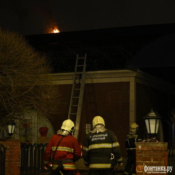 Источник: Андрей Бок / FONTANKA.RU