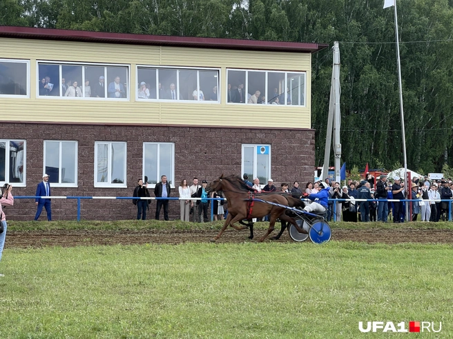 Бегут лошадки | Источник: Андрей Бирюков / UFA1.RU
