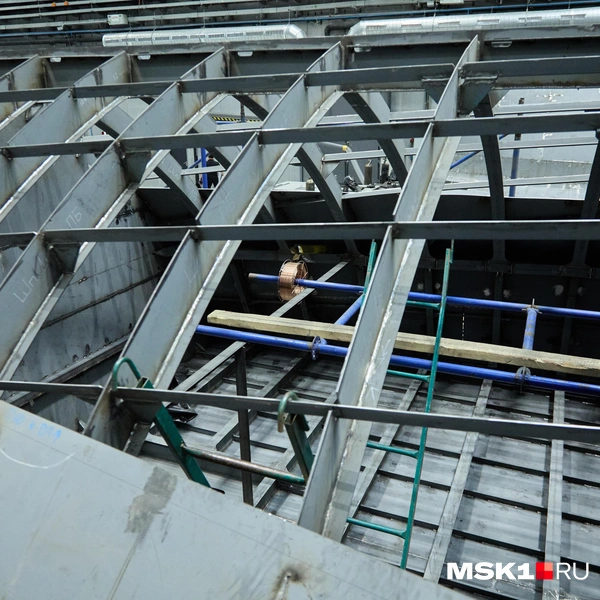 Источник: Дмитрий Толстошеев / MSK1.RU