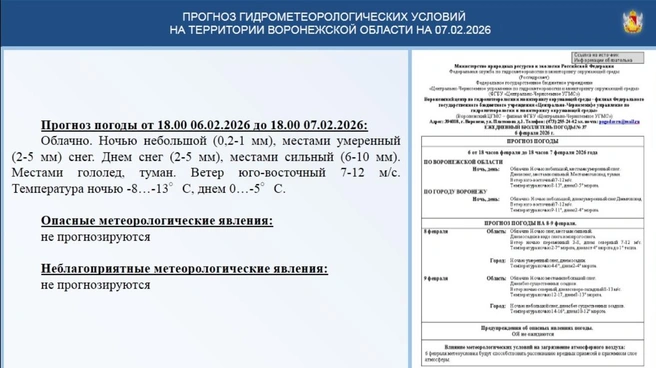 Источник: ГУ МЧС по Воронежской области / 36.mchs.gov.ru/