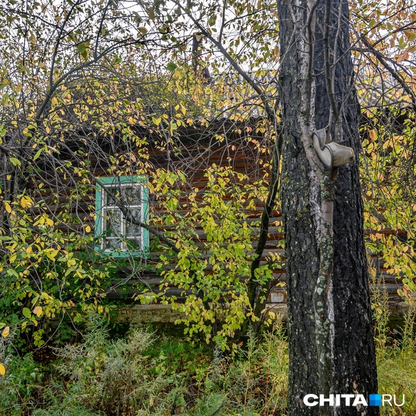Источник: Олег Фёдоров / CHITA.RU