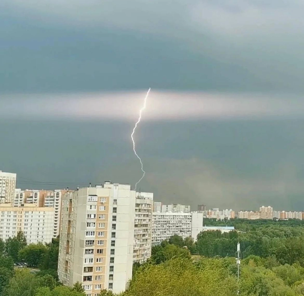 Поваленные деревья, ливни перебои с электричеством: что известно о грозе и  шквалистом ветре в Москве 5 июля 2022 г. - 5 июля 2022 - МСК1.ру