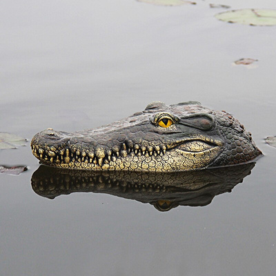 7. Плавающая голова крокодила