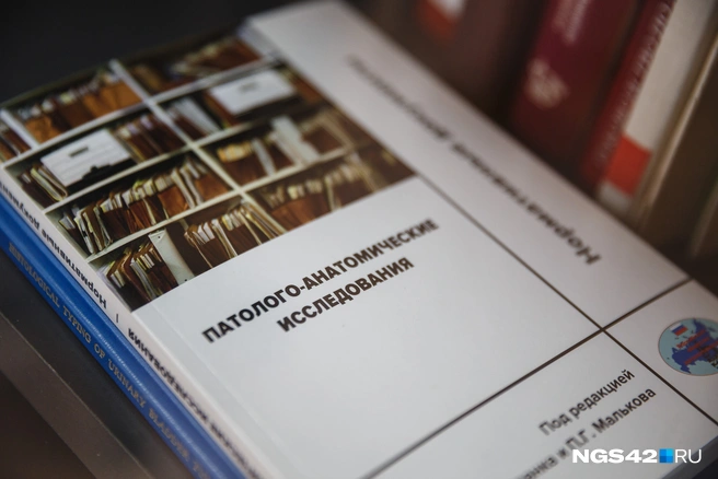 Источник: Максим Серков / NGS42.RU