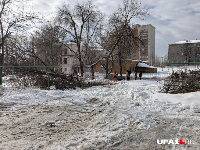 Местность огорожена лентой | Источник: Булат Салихов / UFA1.RU