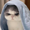 userpic__nikolaleeva1