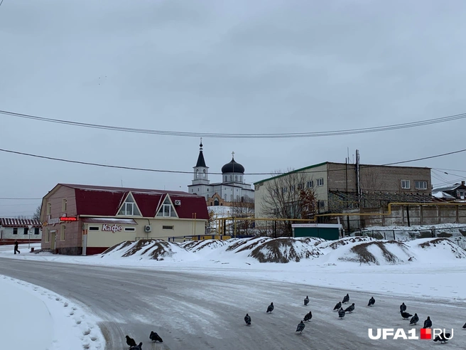 Что они на дороге всей толпой забыли? | Источник: Андрей Бирюков / UFA1.RU